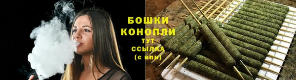 гидра Баксан