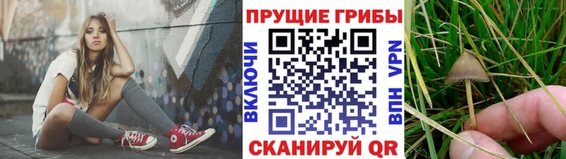 Псилоцибиновые грибы ЛСД  Белая Холуница 